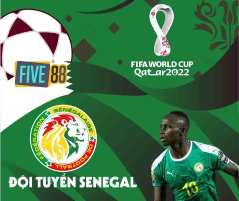 Tổng quan về đội tuyển Senegal
